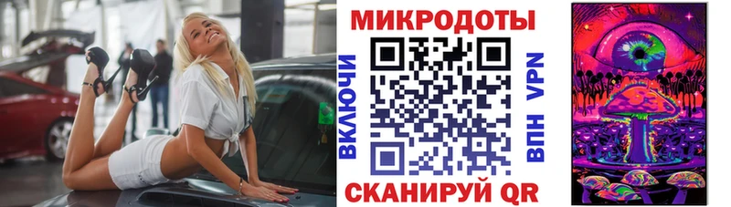 Псилоцибиновые грибы Psilocybine cubensis Бор