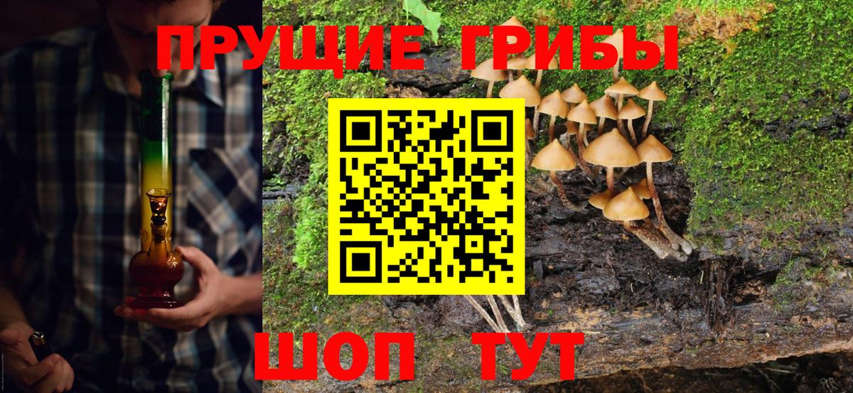 цены   Вход с VPN  Бор  Псилоцибиновые грибы MAGIC MUSHROOMS  Галлюциногенные грибы GOLDEN TEACHER 